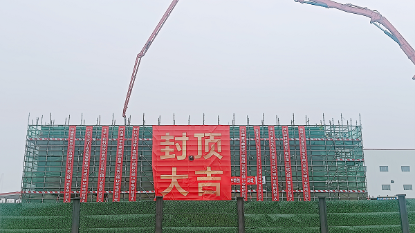 封顶照片 - 副本